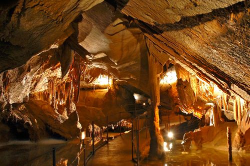 Grotte de la cocalière, site près du mas bleu en Ardèche