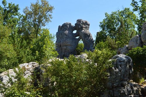 Bois de Païolive en Ardèche