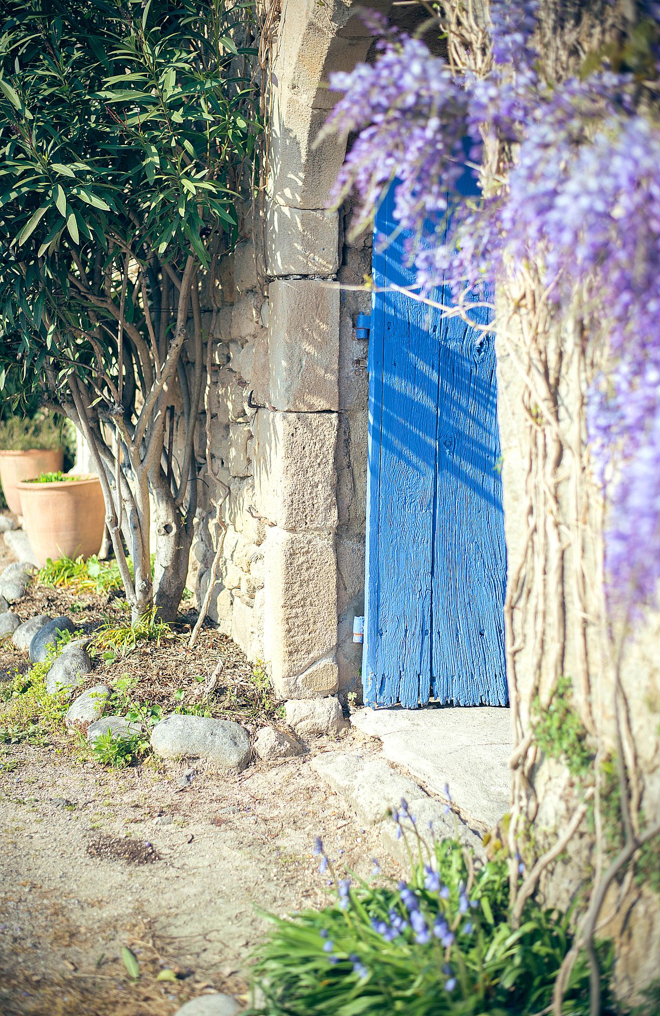 Le Mas Bleu - Entrée des gites à balbiac Ardèche