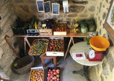 le-mas-bleu-gite-de-charme-ardeche-le-jardin